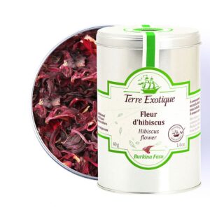 Fleur d'hibiscus - Terre Exotique